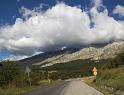IMG_1066 copy